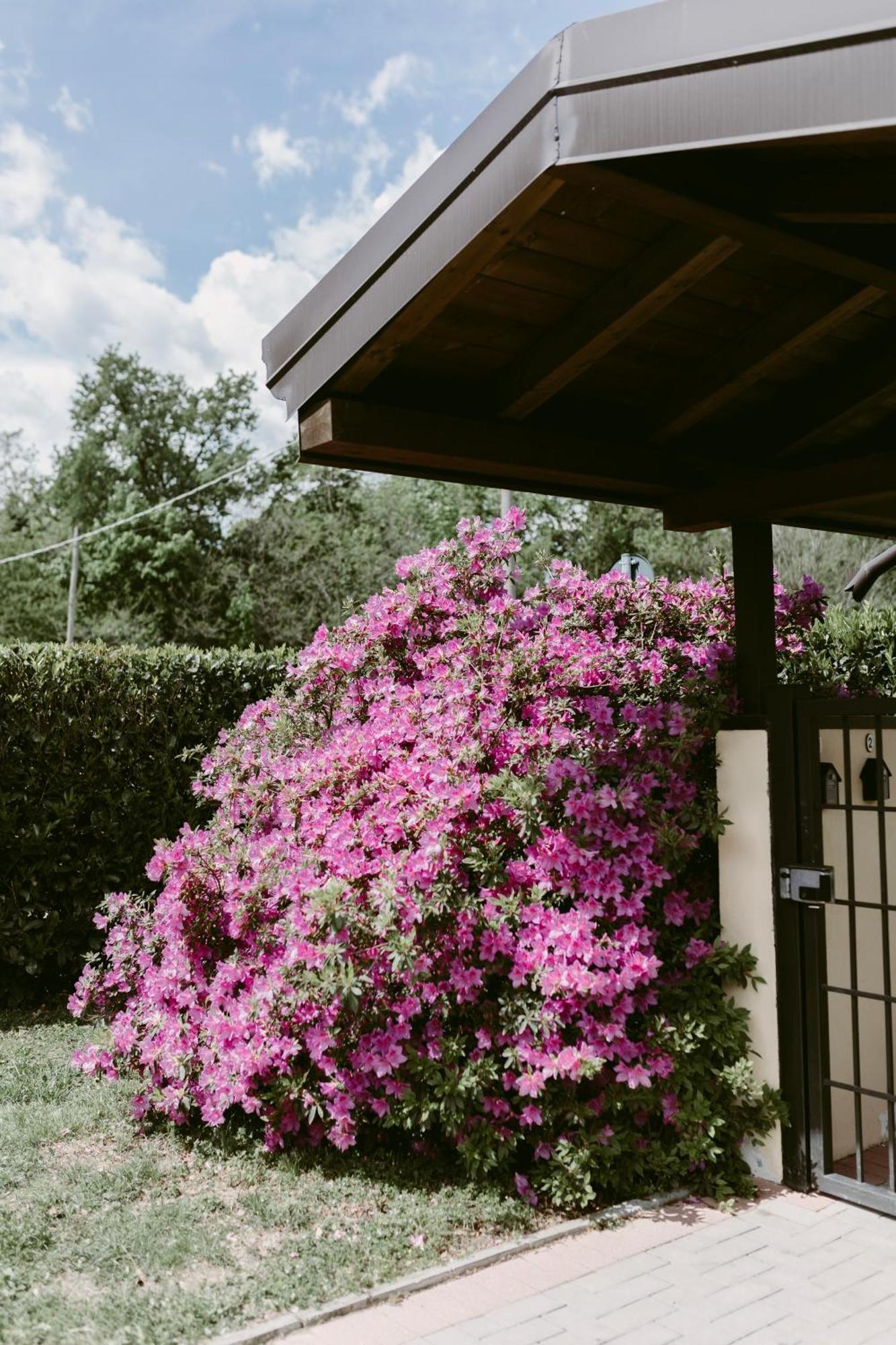 La Casetta Malpensa Guesthouse カーゼ・ヌオーヴェ エクステリア 写真